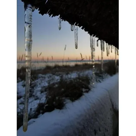 Ferienhaus Luett Haffhus - *